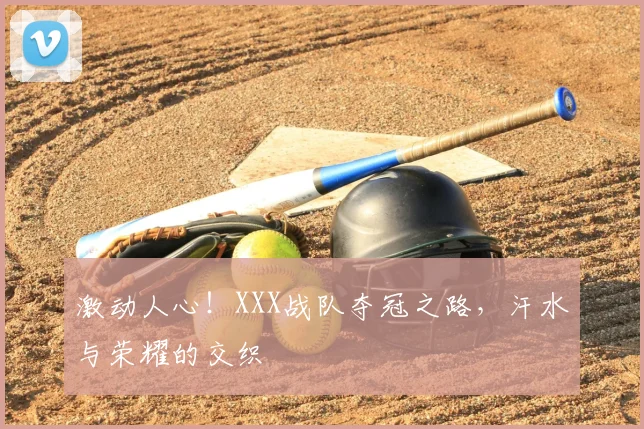 激动人心！XXX战队夺冠之路，汗水与荣耀的交织