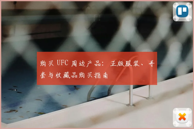 购买 UFC 周边产品:正版服装、手套与收藏品购买指南
