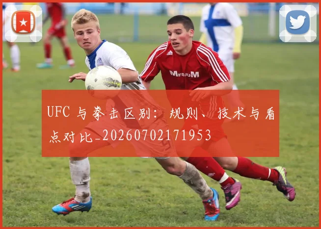 UFC 与拳击区别：规则、技术与看点对比_20260702171953