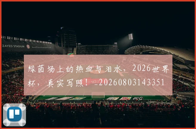 绿茵场上的热血与泪水，2026世界杯，真实写照！_20260803143351