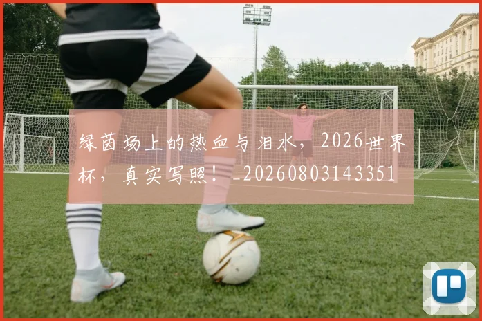 绿茵场上的热血与泪水，2026世界杯，真实写照！_20260803143351