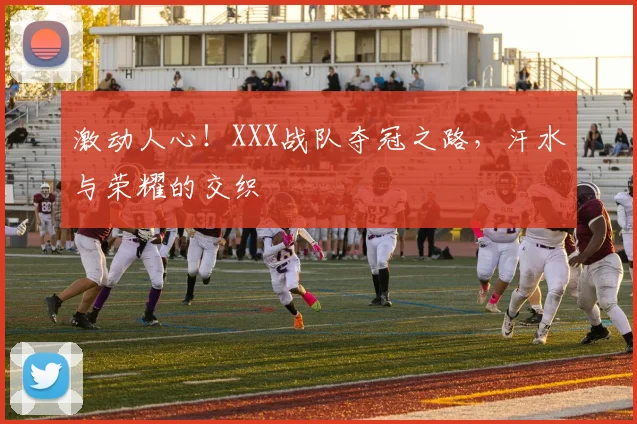 激动人心！XXX战队夺冠之路，汗水与荣耀的交织