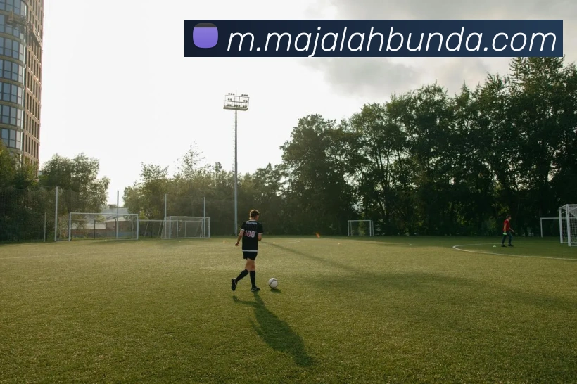 平台使命图